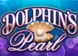 Dolphin`s Pearl